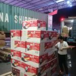 photo4992377755198925174