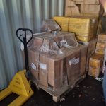 photo5107455511200115403